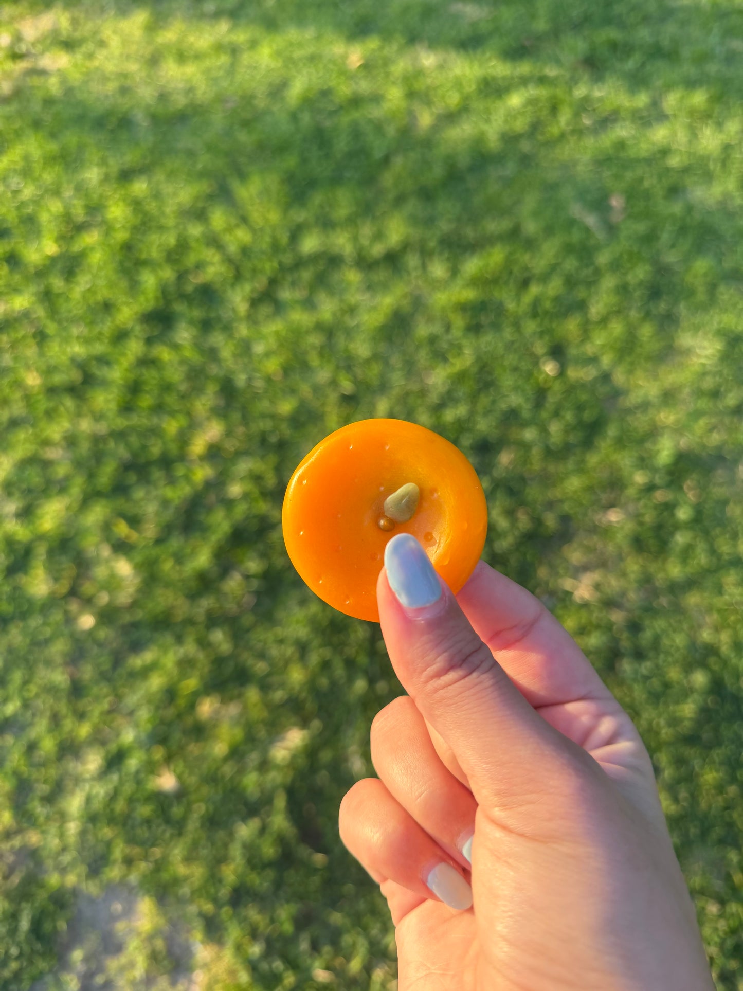 Fruit Worry Stones