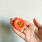 Fruit Worry Stones