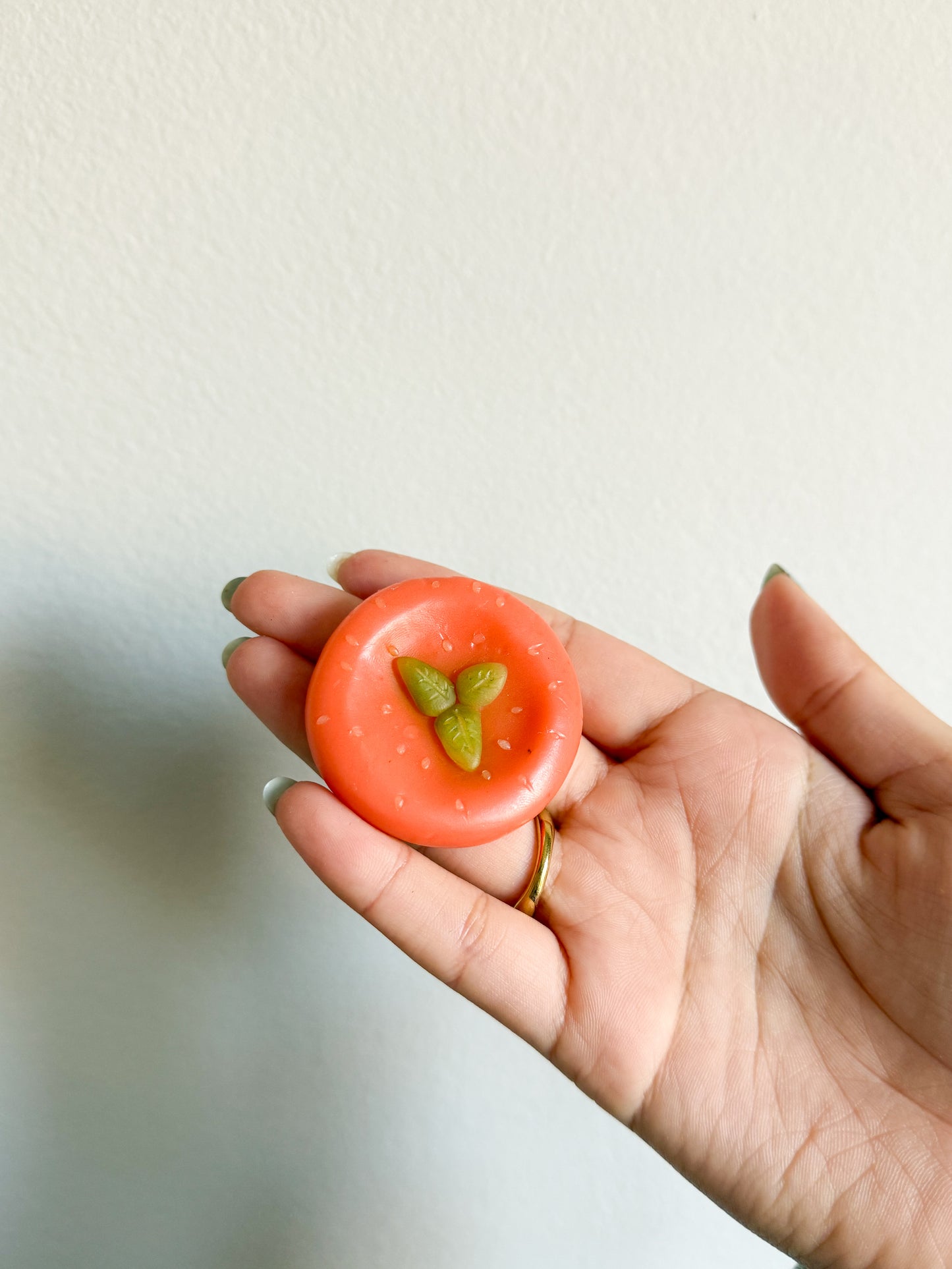 Fruit Worry Stones