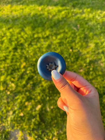 Fruit Worry Stones
