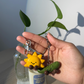 Jellycat Sun and Pickle Keychain